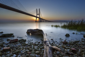 打破常规!F1电竞新星积分榜上一骑绝尘! 打破常规!F1电竞新星积分榜上一骑绝尘!