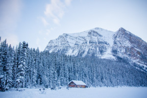 内幕曝光！橄榄球国家队选拔标准，争议不断！