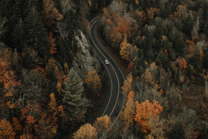 英雄联盟手游直播，见证电竞的魅力！