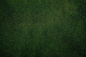 电竞新纪元！马来西亚代表队正在改写历史的新篇章！